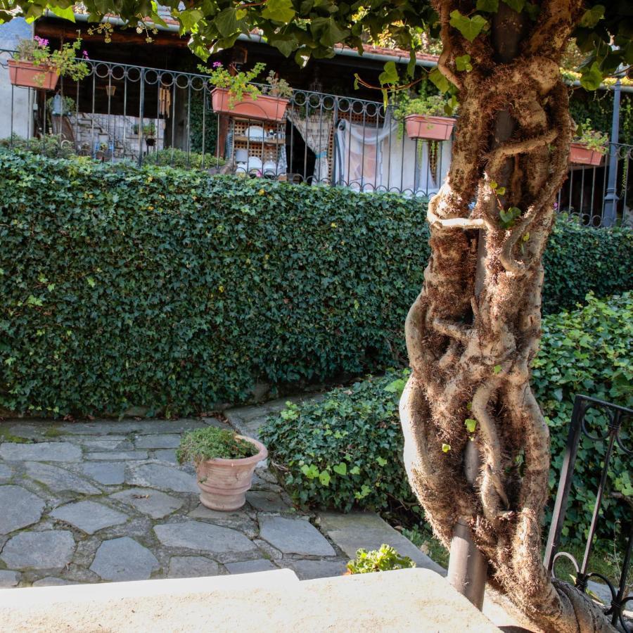 B&B Villa Moro - Family House Домодосола Екстериор снимка
